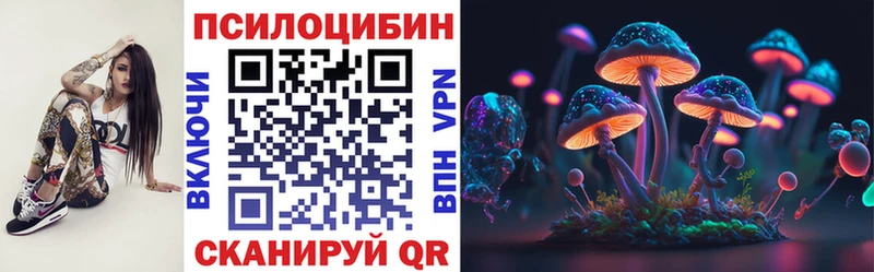 Галлюциногенные грибы Psilocybe  площадка как зайти  Инза 